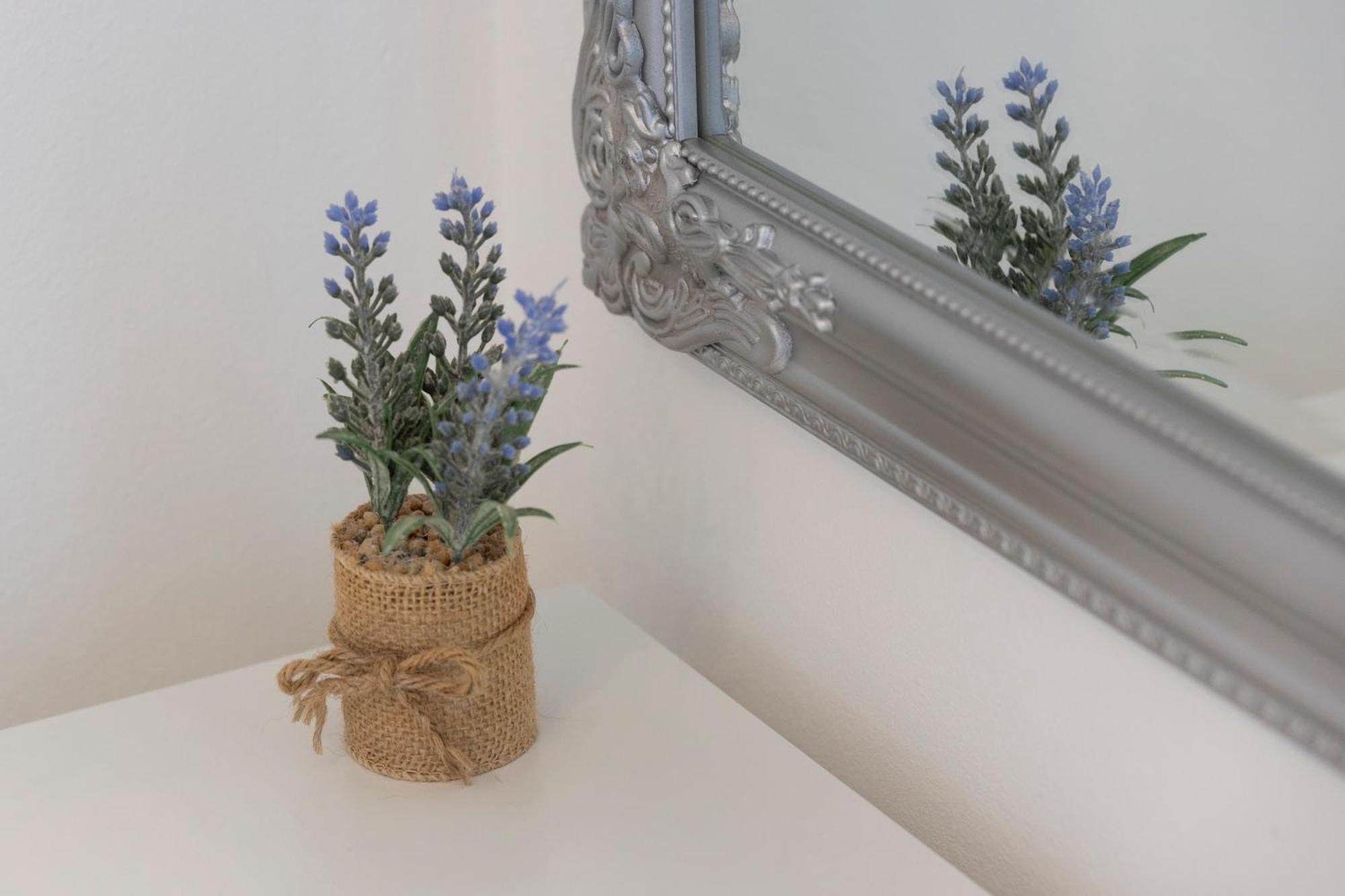 זאטון Villa Violic מראה חיצוני תמונה