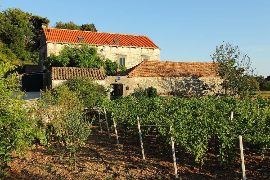 זאטון Villa Violic מראה חיצוני תמונה